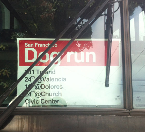 dog run